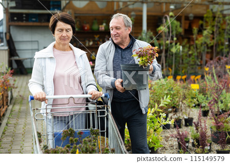 Elderly man and woman buyers carrying purchased plants in shopping trolley 115149579