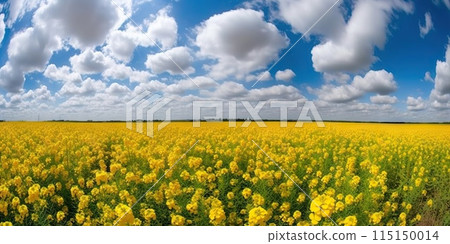Yellow rapeseed field and blue sky on a sunny day. Generative AI 115150014