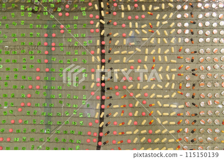 Cradle to Grave artwork by Pharmacopoeia - London British Museum Cradle to Grave artwork by Pharmacopoeia - London British Museum 115150139