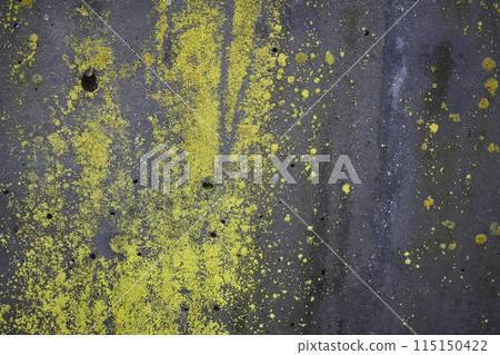 Moss on the cement wall texture and background for design and decoration Moss on the cement wall texture and background for design and decoration 115150422