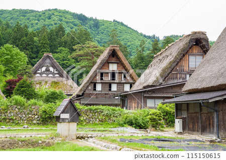 白河村，世界遺產，合掌造，初夏 115150615