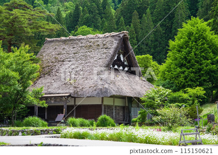 Shirakawa Village World Heritage Gassho-style Building Early Summer Shirakawa Village World Heritage Gassho-style Building Early Summer 115150621
