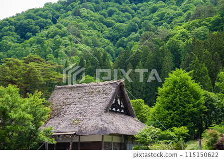 Shirakawa Village World Heritage Gassho-style Building Early Summer Shirakawa Village World Heritage Gassho-style Building Early Summer 115150622