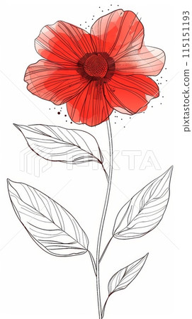 This is a watercolor illustration of a single red flower with black line leaves on white background. This is a watercolor illustration of a single red flower with black line leaves on white background. 115151193
