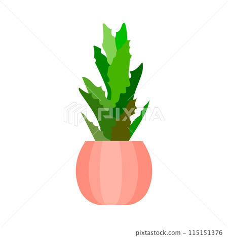 Potted plant with green leaves Potted plant with green leaves 115151376
