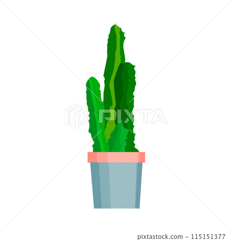 Potted green plant on white background 115151377
