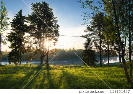 Sunlit forest meadow near lake at sunset is serene and peaceful, offering relaxing atmosphere 115151437