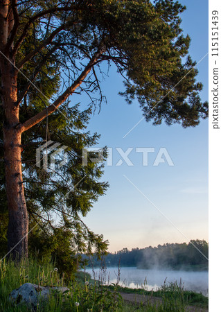 Peaceful morning by the lakeside with mist swirling around trees, a serene atmosphere Peaceful morning by the lakeside with mist swirling around trees, a serene atmosphere 115151439