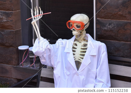 A human skeleton on the porch, Halloween house decoration. Halloween decoration in New York City, United States of America 115152238