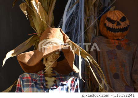 Halloween scarecrow in a corn field, closeup of photo. Halloween decoration in New York City Halloween scarecrow in a corn field, closeup of photo. Halloween decoration in New York City 115152241