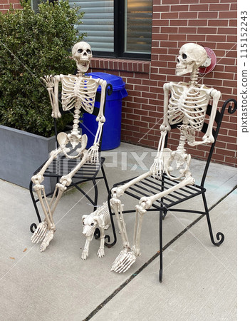 Two human skeletons sit on chairs, Halloween outdoor decoration. Halloween decoration in New York City, United States of America Two human skeletons sit on chairs, Halloween outdoor decoration. Halloween decoration in New York City, United States of America 115152243