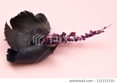 Dried flowers on pink background, romantic floral texture 115152550