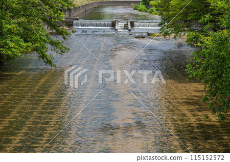 流經枚方市的清澈的天野川、大阪府枚方市淀川匯合處 115152572