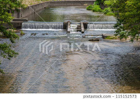 流經枚方市的清澈的天野川、大阪府枚方市淀川匯合處 115152573