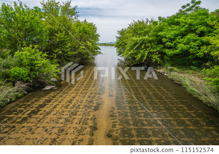 流經枚方市的清澈的天野川、大阪府枚方市淀川匯合處 115152574
