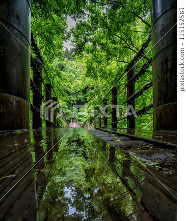 Hananuki Gorge, Takahagi City, Ibaraki Prefecture Fresh green Shiomi Waterfall Suspension Bridge 115152581