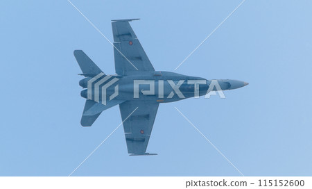 西班牙空軍EF-18A大黃蜂後視圖 115152600