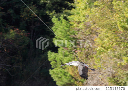 The flying stork, a national natural monument The flying stork, a national natural monument 115152670