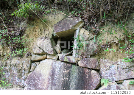 Kinojo Castle 115152923