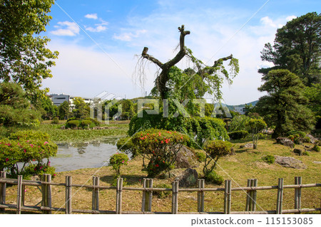 天堂樂園 115153085