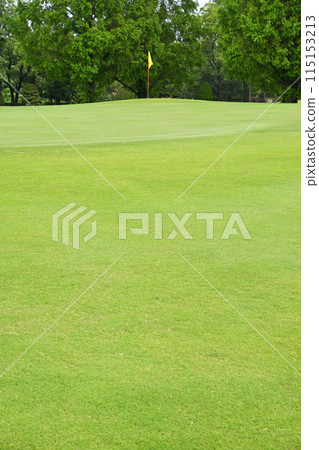 A deserted golf course in lush early summer green A deserted golf course in lush early summer green 115153213