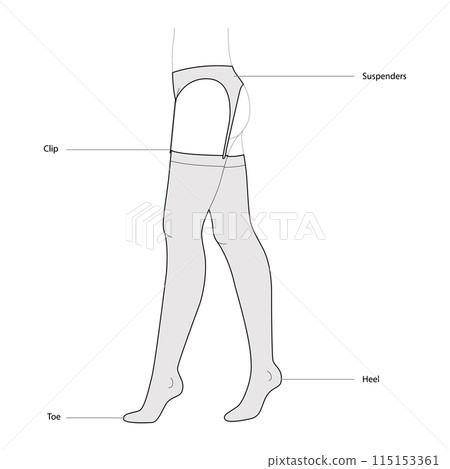 Stockings Suspenders Gatherbelt with diagram text names. Fashion accessory clothing technical illustration stocking. 115153361