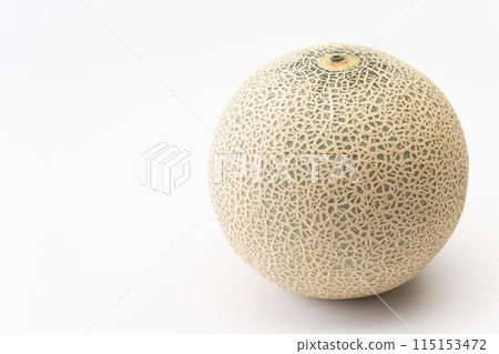 melon melon 115153472
