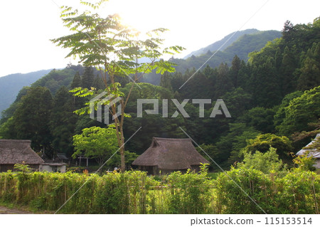 Tokuyama Walk (Tokuyama Dam).17 (Tokuyama, Ibigawa-cho, Ibi-gun, Gifu Prefecture) 115153514