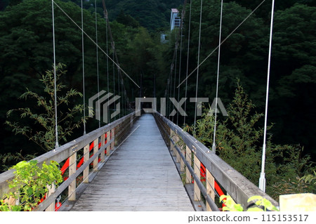 Tokuyama Walk (Tokuyama Dam).20 (Tokuyama, Ibigawa-cho, Ibi-gun, Gifu Prefecture) 115153517