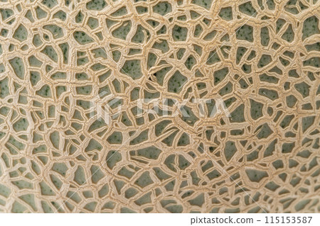 美麗網格瓜皮特寫背景 115153587