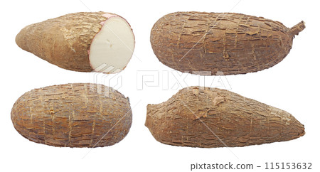 cassava root isolated on white background cassava root isolated on white background 115153632