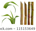 Sugar cane isolated on white background 115153649