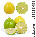 Lime slice isolated on white background 115153656