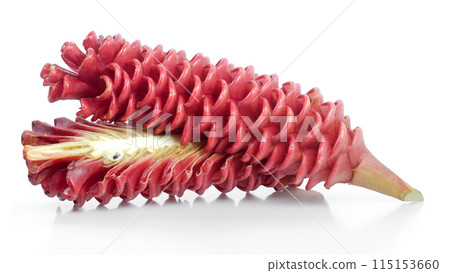 Zingiber Zerumbet flower isolated on white background 115153660
