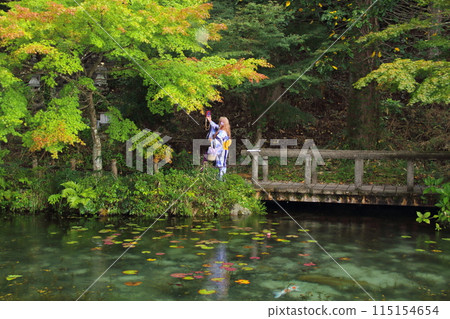 Stroll around the so-called Monet's Pond 10 (Itadori, Seki City, Gifu Prefecture) 115154654