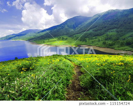 多雲的夏季高原和Nozorikisuge 115154724