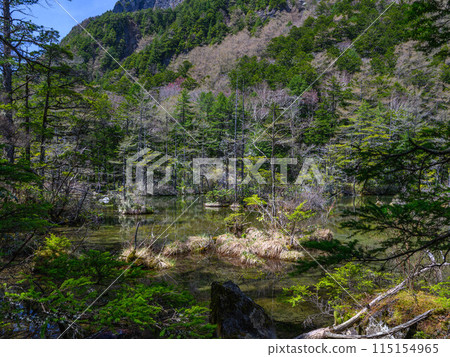 [Kamikochi] Myojin Pond_Ninoike_07 115154965