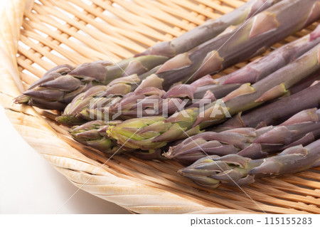 [Yamagata Prefecture] Purple asparagus 115155283
