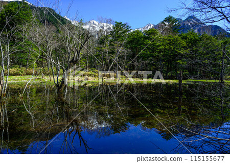 [Kamikochi] Mirror-like marshland_01 115155677
