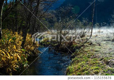 [上高地]濕地的早晨_01 115155678