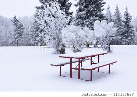 Red picnic table with a bench in the snowy winter park in solitude. Red picnic table with a bench in the snowy winter park in solitude. 115155687