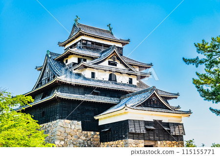 Matsue castle Tensui 115155771