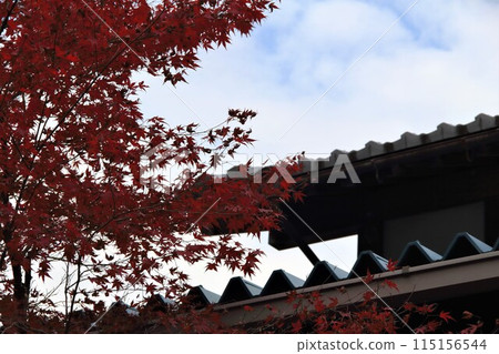 谷宮山華嚴寺步道3（岐阜縣） 115156544