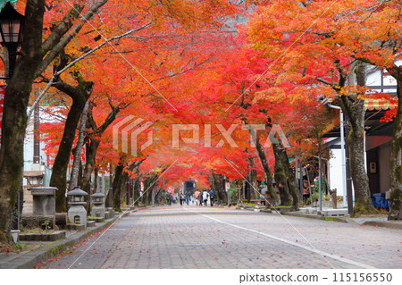 谷宮山華嚴寺步道9(岐阜縣) 谷宮山華嚴寺步道9(岐阜縣) 115156550