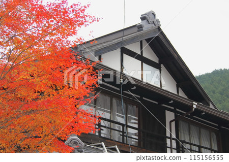 Autumn leaves at the 33rd temple of the Saigoku Kannon Pilgrimage, Tanigumi Kegonji Temple, 14 (Gifu Prefecture) 115156555