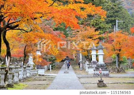 西國第33座紅葉寺谷山華嚴寺散步22(岐阜縣) 西國第33座紅葉寺谷山華嚴寺散步22(岐阜縣) 115156563