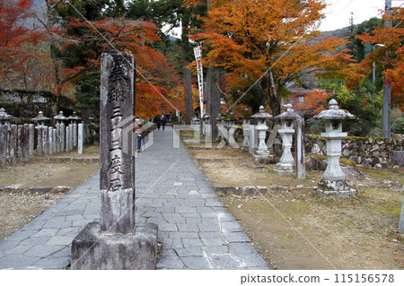 Autumn leaves at the 33rd temple of the Saigoku Kannon Pilgrimage, Tanigumi Kegonji Temple, 37 (Gifu Prefecture) Autumn leaves at the 33rd temple of the Saigoku Kannon Pilgrimage, Tanigumi Kegonji Temple, 37 (Gifu Prefecture) 115156578