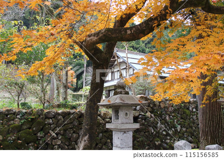 Autumn leaves at the 33rd temple of the Saigoku Kannon Pilgrimage, Tanigumi Kegonji Temple, 43 (Gifu Prefecture) 115156585