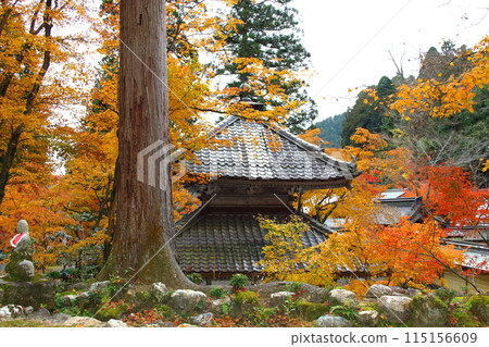 西國地區第 33 座紅葉寺廟－谷組山華嚴寺步道 66（岐阜縣） 115156609