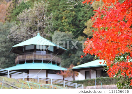 西國地區第 33 處紅葉寺廟 - 谷組山華嚴寺步道 93(岐阜縣) 西國地區第 33 處紅葉寺廟 - 谷組山華嚴寺步道 93(岐阜縣) 115156636